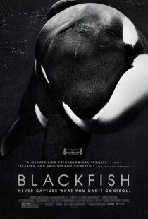 دانلود فیلم Blackfish 2013412328-881958727