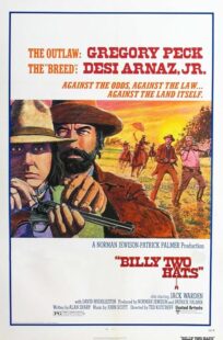 دانلود فیلم Billy Two Hats 1974411057-1007794483