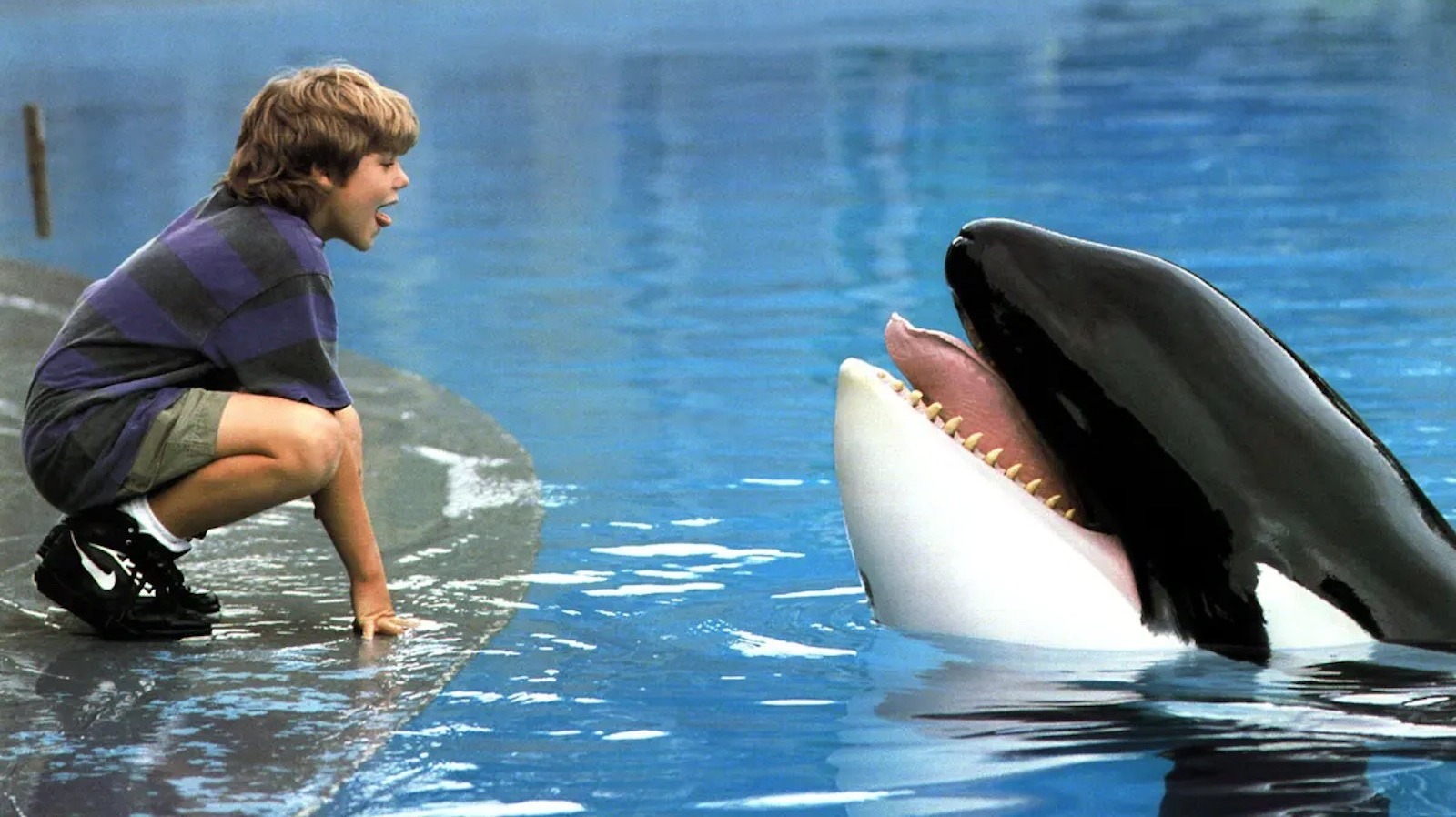 دانلود فیلم Free Willy 1993