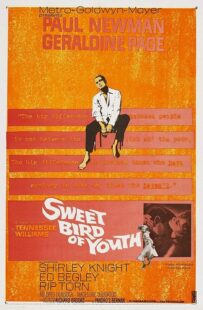 دانلود فیلم Sweet Bird of Youth 1962415738-2130618161