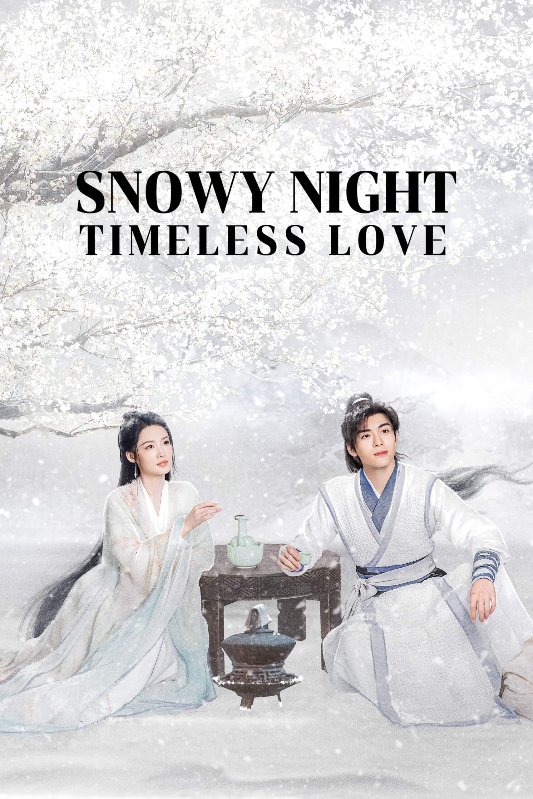 دانلود سریال Snowy Night Timeless Love