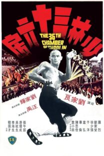 دانلود فیلم The 36th Chamber of Shaolin 1978418237-357296361