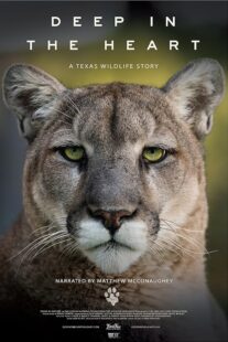 دانلود مستند Deep in the Heart: A Texas Wildlife Story 2022421545-320941243