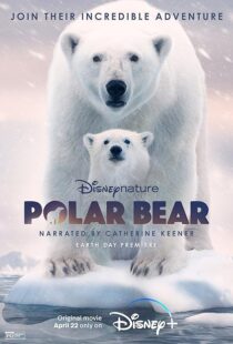 دانلود مستند Polar Bear 2022422974-2042575096