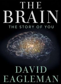 دانلود سریال The Brain with Dr. David Eagleman428613-2007937472