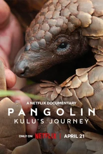 دانلود مستند Pangolin: Kulu’s Journey 2025430703-584337589