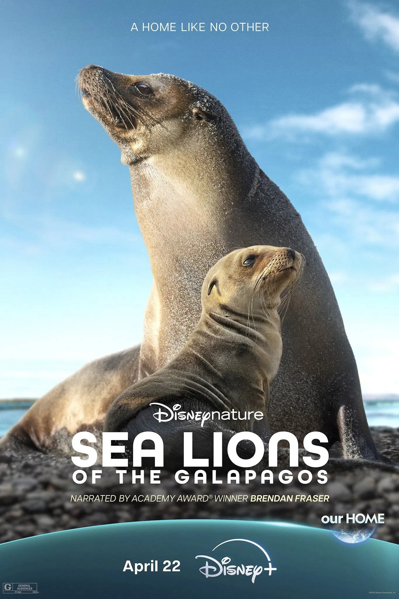 دانلود مستند Sea Lions of the Galapagos 2025
