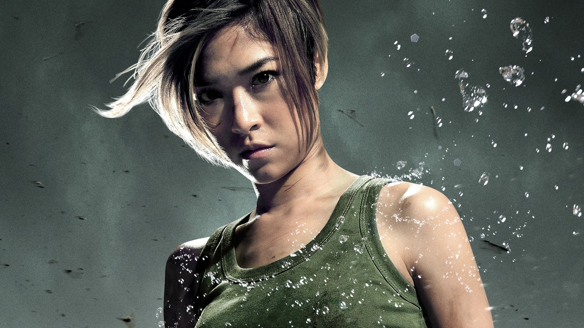 دانلود فیلم Raging Phoenix 2009