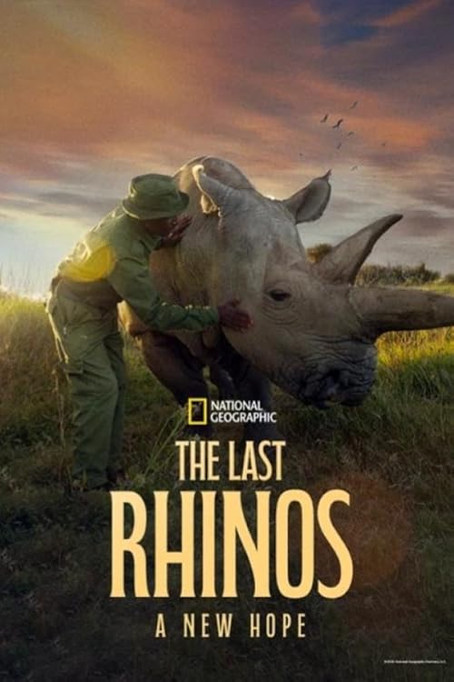 دانلود مستند The Last Rhinos A New Hope 2025