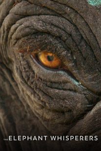دانلود مستند هندی The Elephant Whisperers 2022442236-333764196