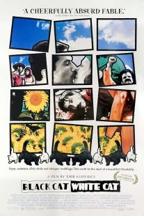 دانلود فیلم Black Cat, White Cat 1998444406-1017458750
