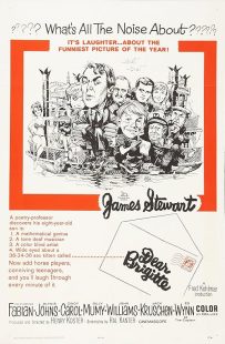 دانلود فیلم Dear Brigitte 1965449783-982764317