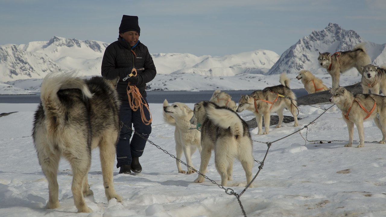 دانلود مستند Forces of Nature with Brian Cox