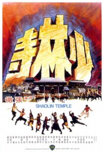 دانلود فیلم Shaolin Temple 1976454877-376406678