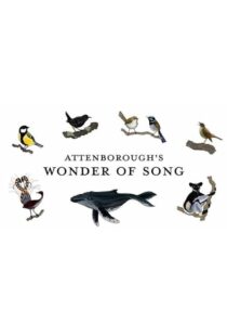 دانلود فیلم Attenborough’s Wonder of Song 2022454537-504082016