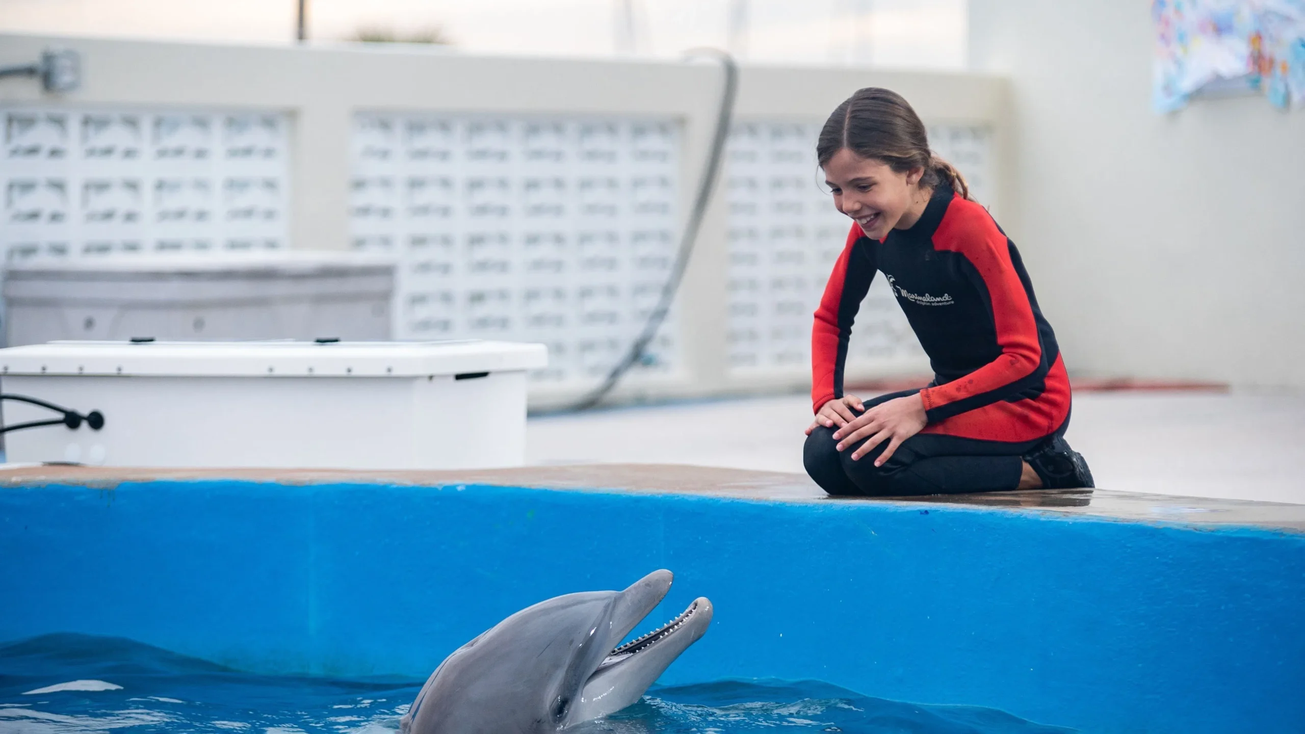 دانلود فیلم Bernie the Dolphin 2 2019