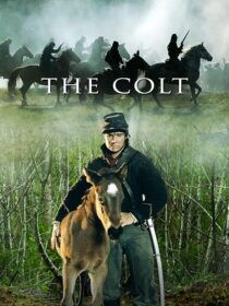 دانلود فیلم The Colt 2005456377-1562320737