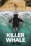 دانلود فیلم Killer Whale 2026