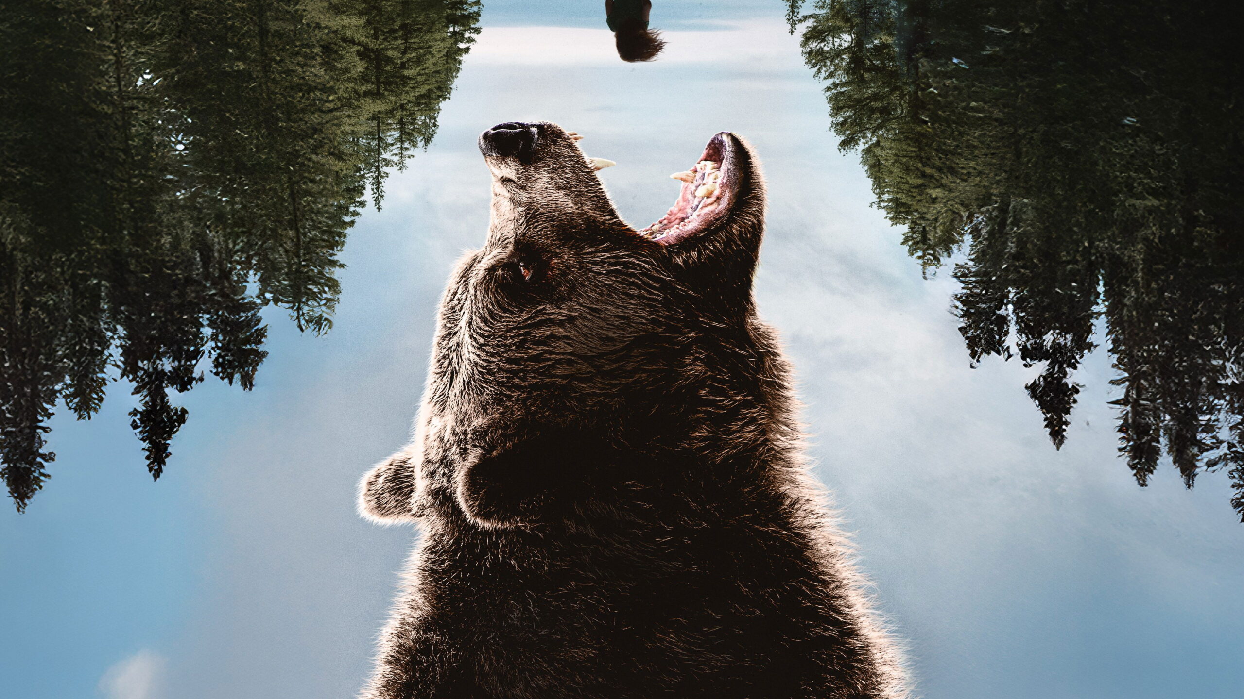 دانلود فیلم Grizzly Night 2026