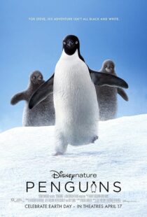 دانلود فیلم Penguins 2019457646-942226936