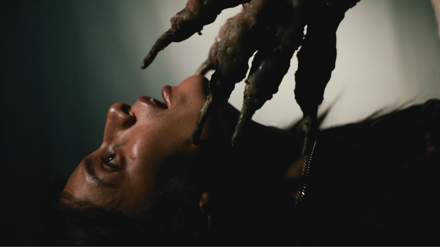 دانلود فیلم No Me Sigas 2025