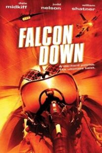دانلود فیلم Falcon Down 2001458693-116755996