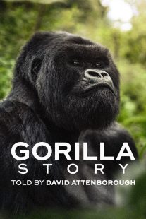 دانلود مستند A Gorilla Story: Told by David Attenborough 2026466695-1989716883
